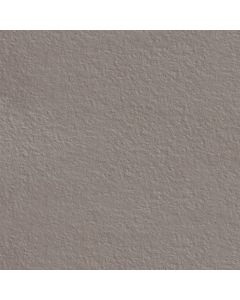 Mosa Terra Maestricht 204RL Vloertegel Rel.300X300 M.Warm Grijs 10mm Mat R11