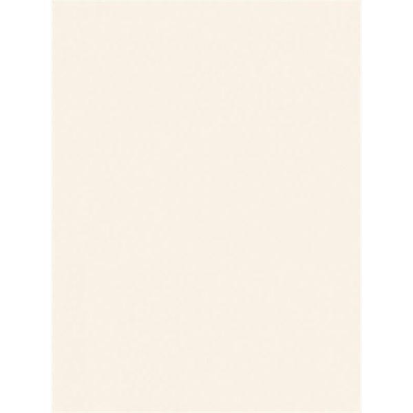 Mosa Holland 15x20cm Wit Glans (0490L015020)