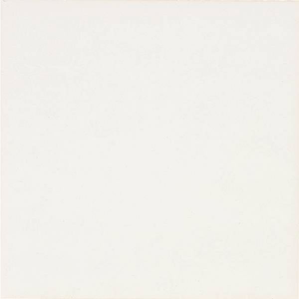 Mosa Global 15x15cm Wit Mat (15010015015)