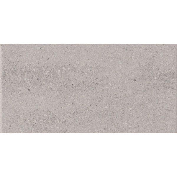 Mosa Scenes Plus 30x60cm Grijs Mat (6120V0300601)